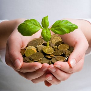 capitalisation des talents